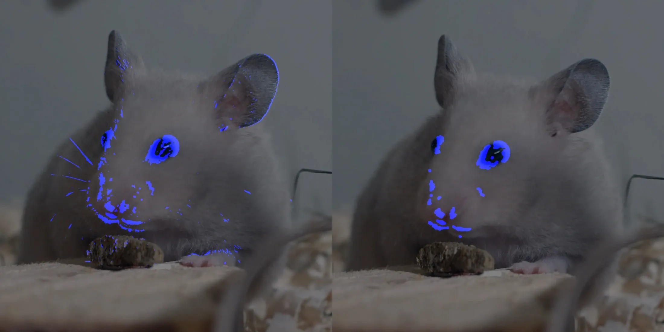 opening filter
