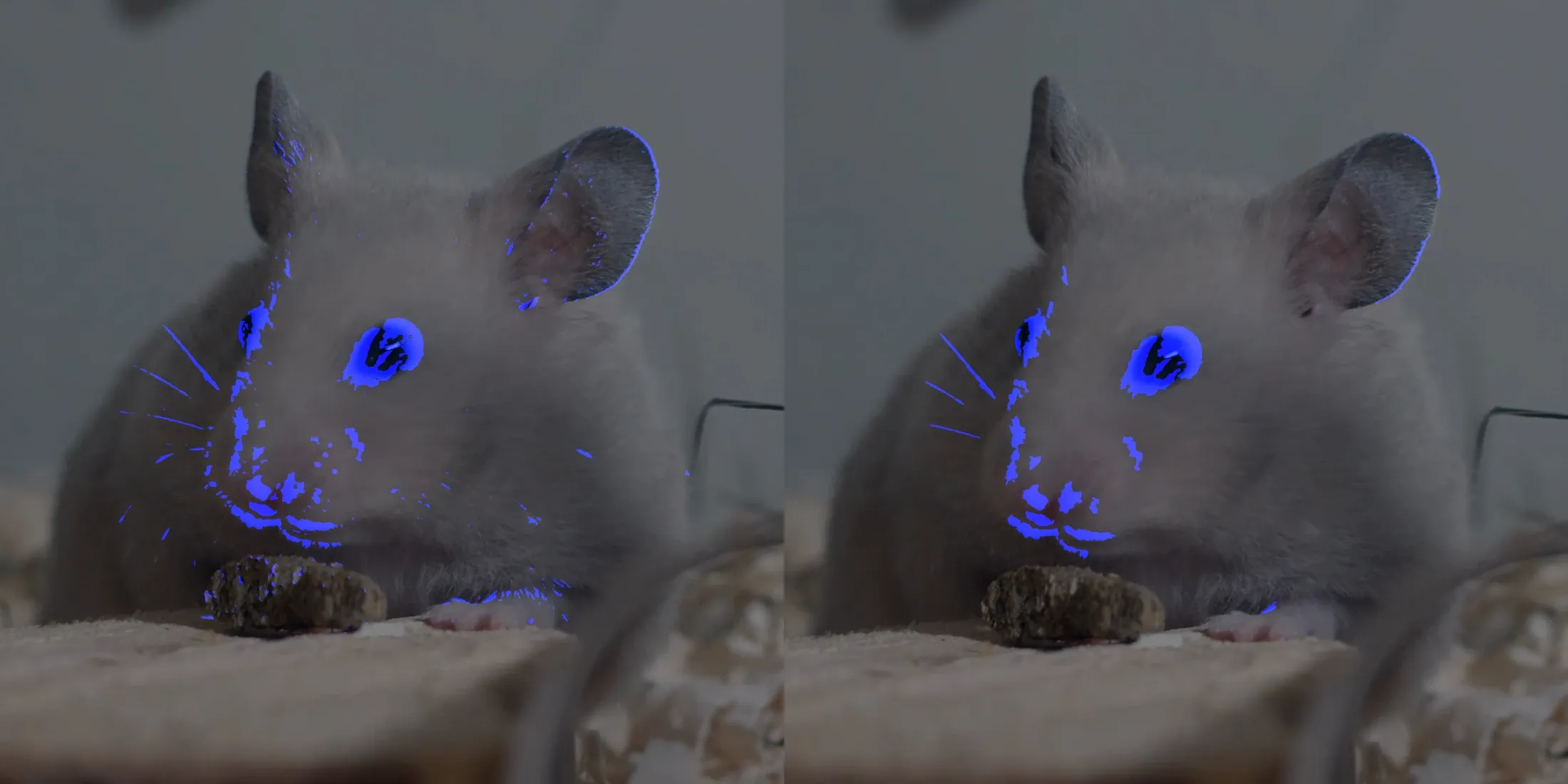 small object removal